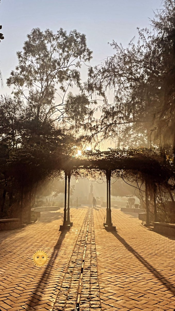 imabiydv's tweet photo. Seems like the Sun blessing the world. From the archives. Faculty of Arts, Delhi University, last autumn 🍂
#DU #Artsfaculty https://t.co/477DMl0hOB