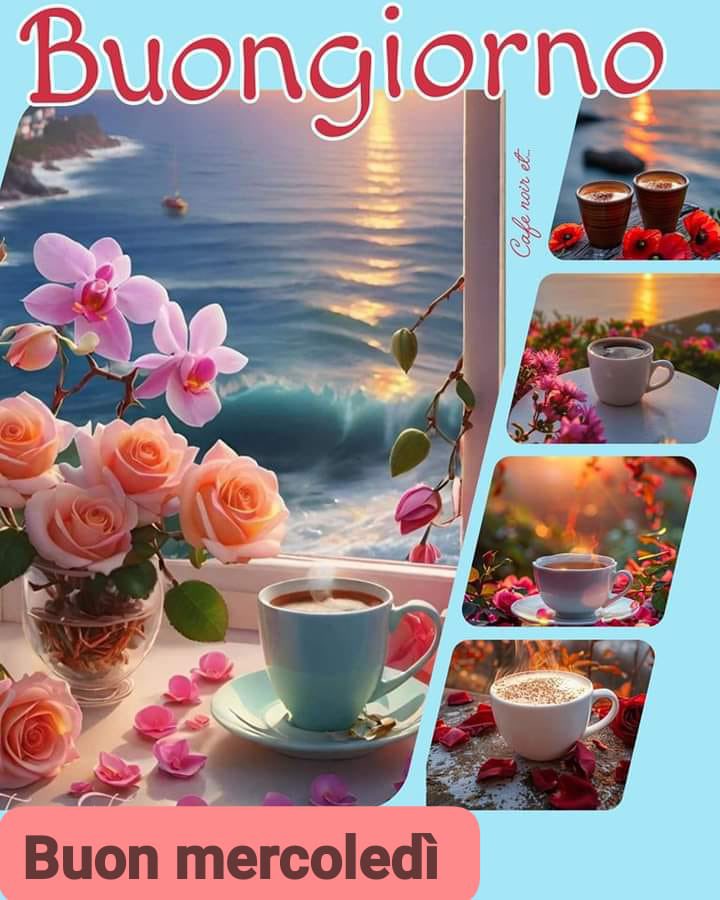 RITABIANCHi56 tweet media