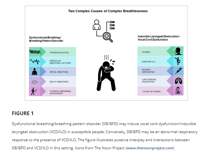 Respirology tweet media