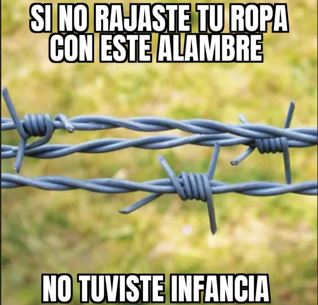 Sur De Chile tweet media