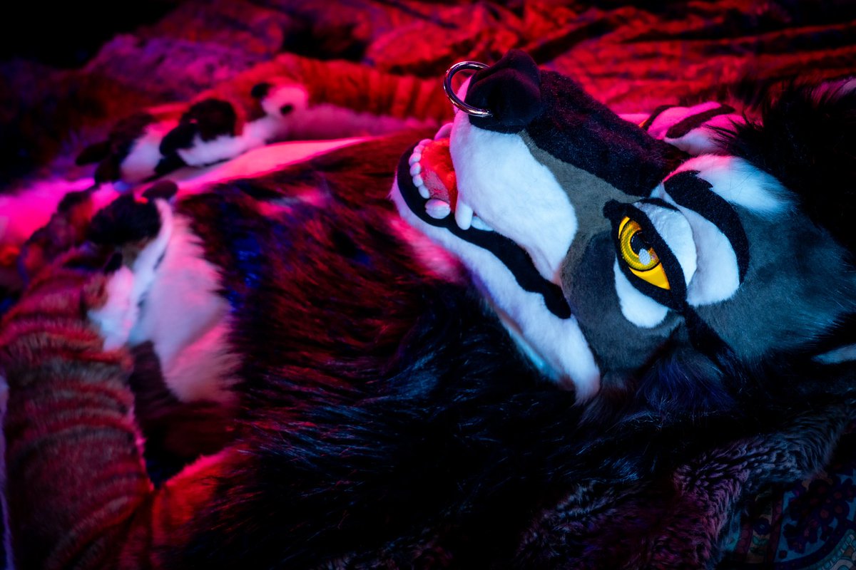 AWOOO 🌕✨

Happy #InternationalWolfDay 
🪡 <a href="/MidnightMkrs/">◇ Midnight Makers ◇</a>