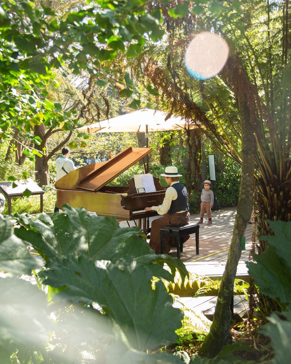SFBGS's tweet photo. 🌸🎹 Flower Piano is 1 month away! 🌸🎹 September 13 is around the corner so check out our full program, select with Flower Piano Lounge performances you want to see, and purchase your tickets in advance at https://t.co/KGjbarhtxR https://t.co/eU787BrX1u