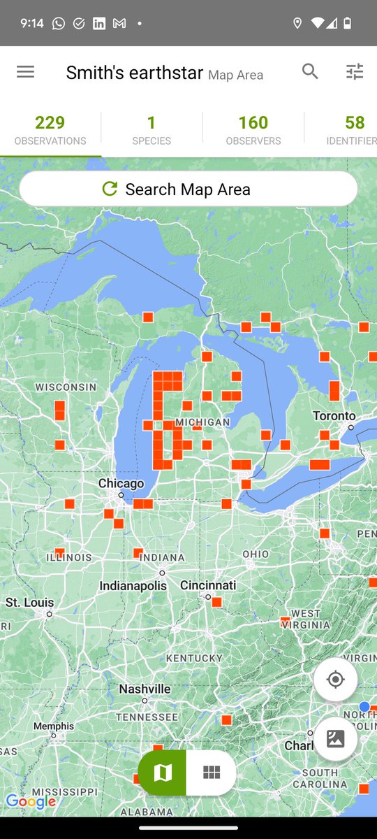 Julian Liber tweet media