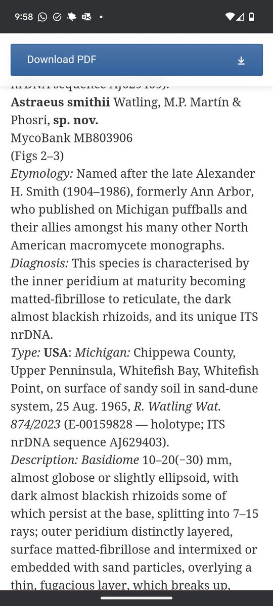 Julian Liber tweet media