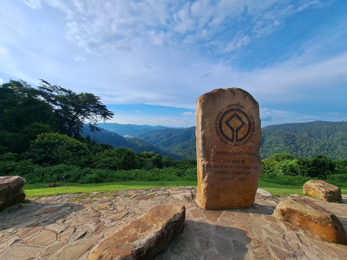 KMY_Phillip's tweet photo. Khaoyai national park

#khaoyai #เขาใหญ่ https://t.co/4OQli3t7W3