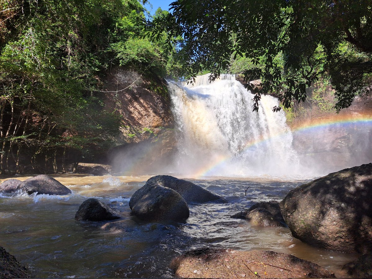 KMY_Phillip's tweet photo. Khaoyai national park

#khaoyai #เขาใหญ่ https://t.co/4OQli3t7W3
