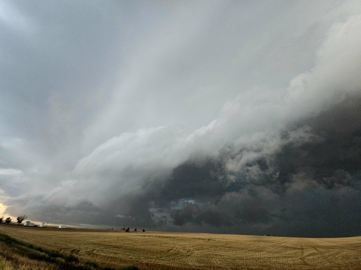 CycloneCowboys tweet media