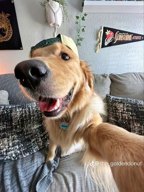 puppiesDoglover's tweet photo. https://t.co/18vV1ihWED