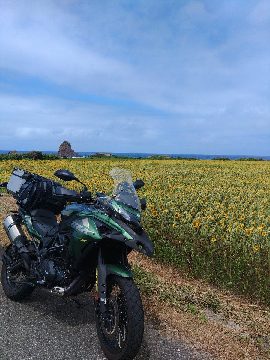 lightning7377's tweet image. 