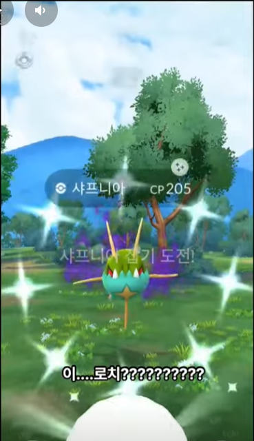 그림자 샤프니아 이로치 구경하세요.ㅎㅎ imblogmania.tistory.com/5392