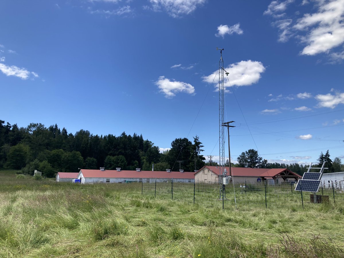 Washington Mesonet (@wamesonet) on Twitter photo The Washing Mesonet is halfway complete! Site #50 was completed at <a href="/WSUPuyallupREC/">WSU Puyallup REC</a>! This site replaces the <a href="/AgWeatherNet/">AgWeatherNet</a> site at the extension. #wawx <a href="/wsucahnrs/">WSU CAHNRS</a> <a href="/WaStormCenter/">WSC</a> <a href="/PuyallupGov/">City of Puyallup</a> <a href="/WAstateclimate/">WA State Climate</a> The Washing Mesonet is halfway complete! Site #50 was completed at <a href="/WSUPuyallupREC/">WSU Puyallup REC</a>! This site replaces the <a href="/AgWeatherNet/">AgWeatherNet</a> site at the extension. #wawx <a href="/wsucahnrs/">WSU CAHNRS</a> <a href="/WaStormCenter/">WSC</a> <a href="/PuyallupGov/">City of Puyallup</a> <a href="/WAstateclimate/">WA State Climate</a>