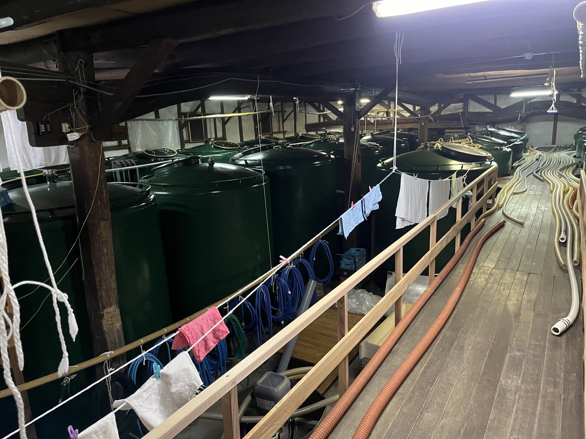 n88888d's tweet photo. ここに住めば飲んで暮らせる https://t.co/gYTb2U3vvv