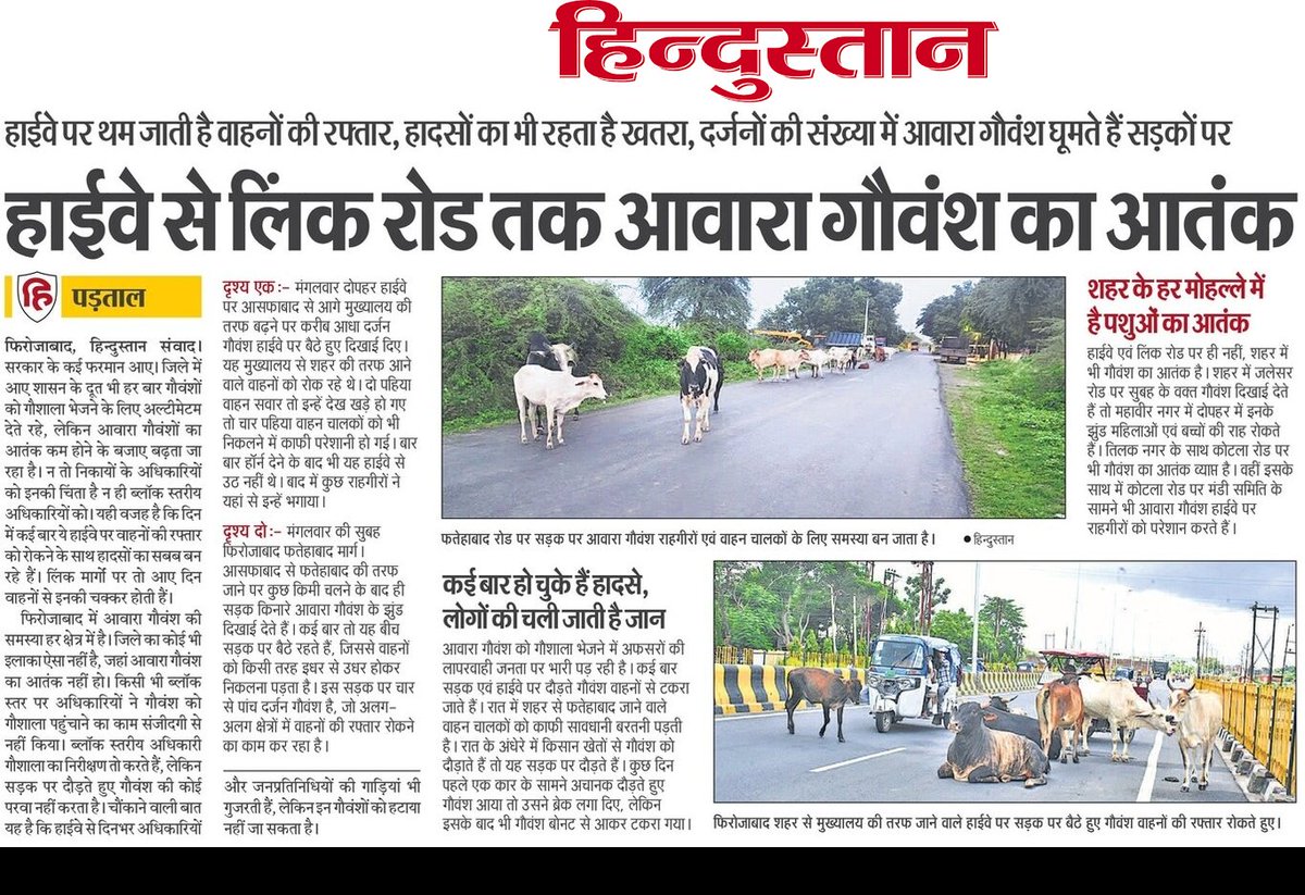 Amit Upadhyay (@amitupadhyay100) on Twitter photo फिरोजाबाद में प्रदेश सरकार नहीं खत्म कर पाई आवारा गोवंश का आतंक <a href="/myogiadityanath/">Yogi Adityanath</a> <a href="/yadavakhilesh/">Akhilesh Yadav</a> <a href="/dm_firozabad/">DM Firozabad</a> फिरोजाबाद में प्रदेश सरकार नहीं खत्म कर पाई आवारा गोवंश का आतंक <a href="/myogiadityanath/">Yogi Adityanath</a> <a href="/yadavakhilesh/">Akhilesh Yadav</a> <a href="/dm_firozabad/">DM Firozabad</a>