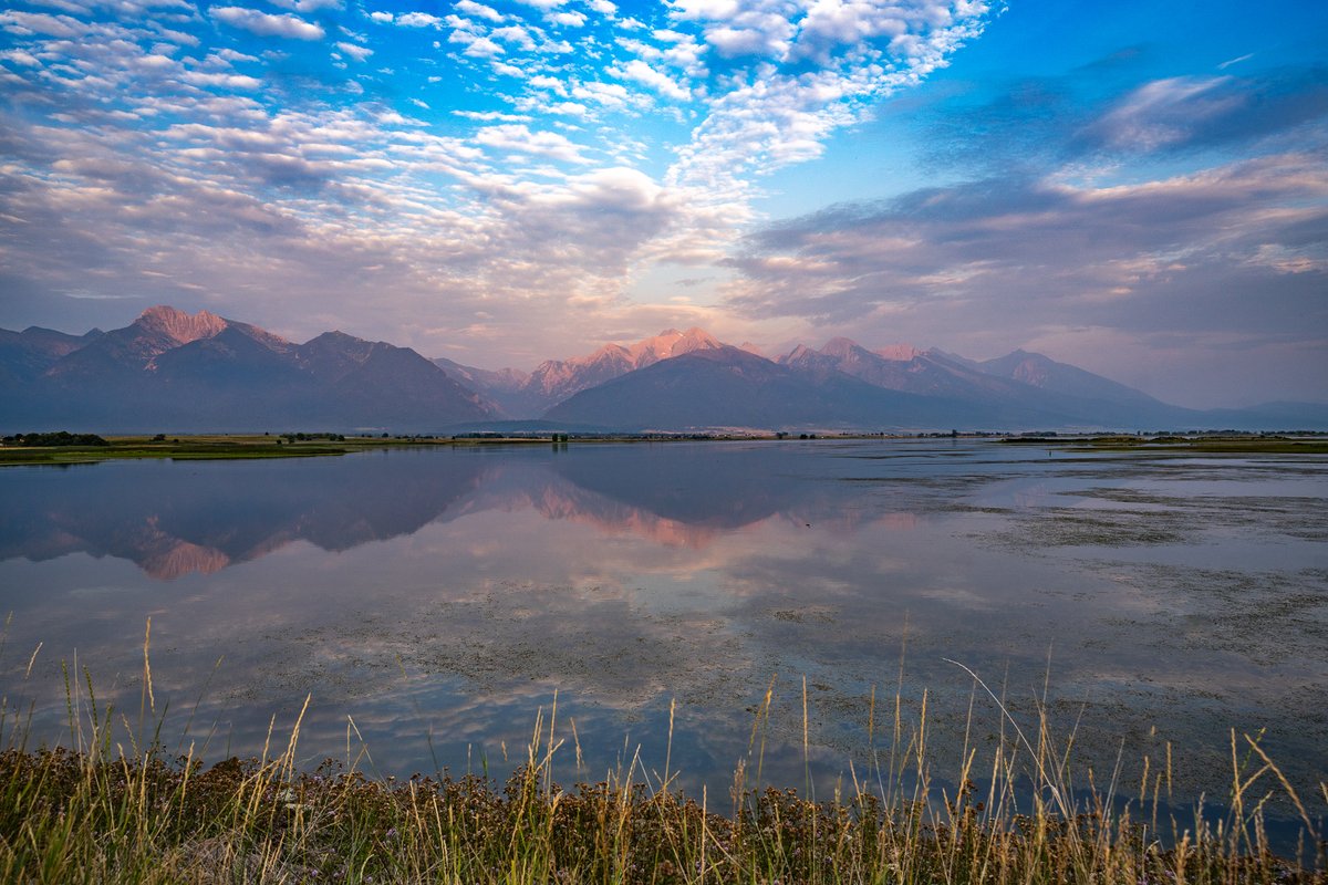 Leon Kauffman tweet media