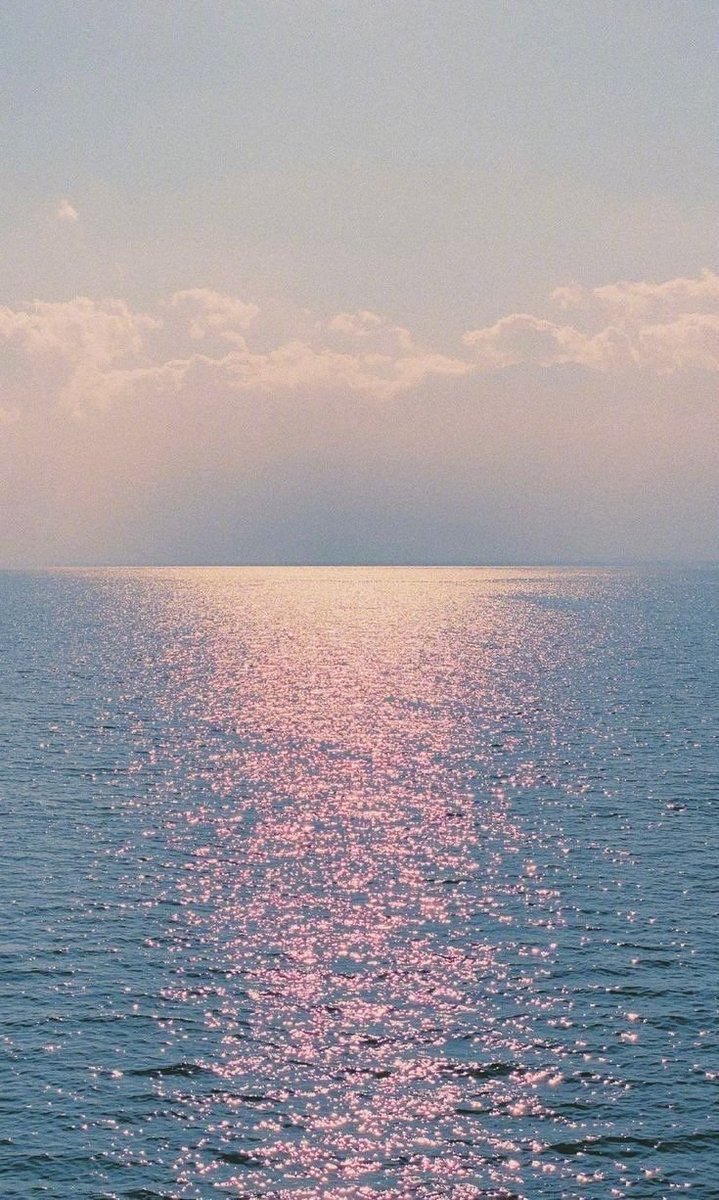 aestheticspost_'s tweet image. 