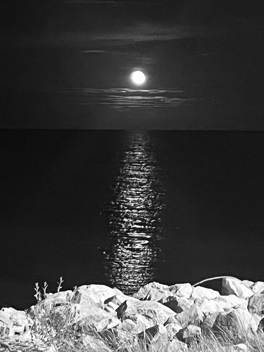 boy_xshadow's tweet photo. this might be my favorite picture i have ever taken and edited 🌑 #moon #beach #latenight https://t.co/9BXstCLFeT