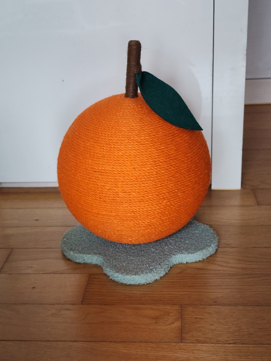 チャンさん (@chansan_0215) on Twitter photo 