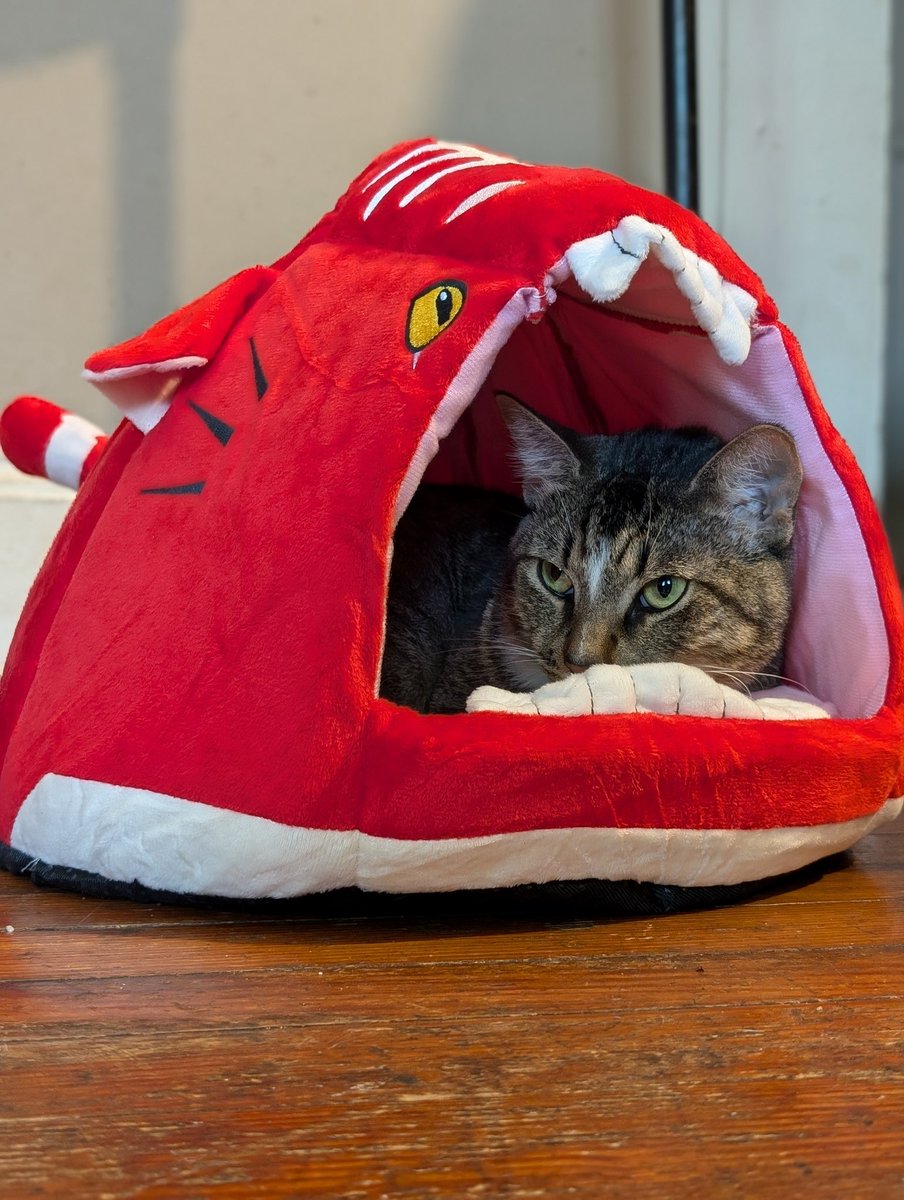 KryptoCat🙀 tweet media