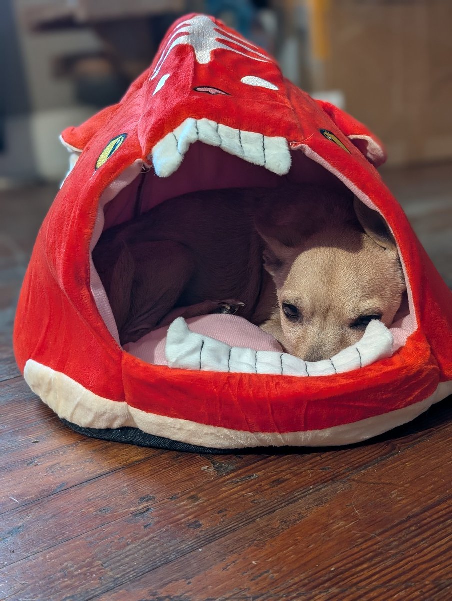 KryptoCat🙀 tweet media