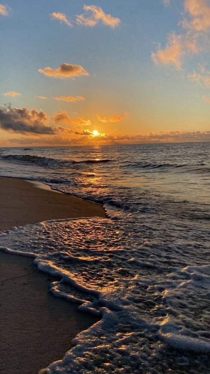Aesthetics (@aestheticspost_) on Twitter photo 