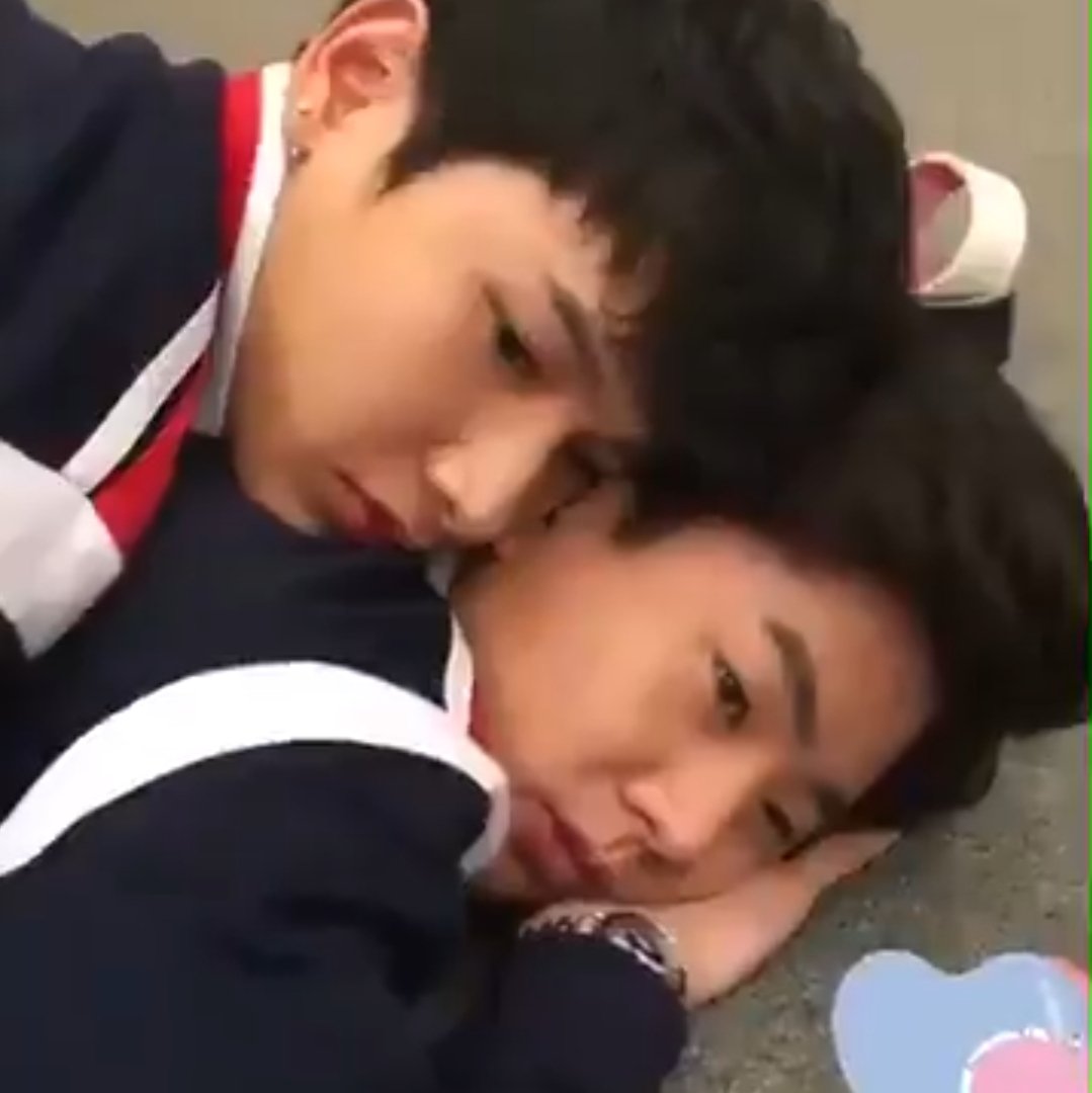 cutiemcial's tweet photo. 🐱🐱💘 #thisoffgunorcat #ออฟกัน https://t.co/ije362IeXn