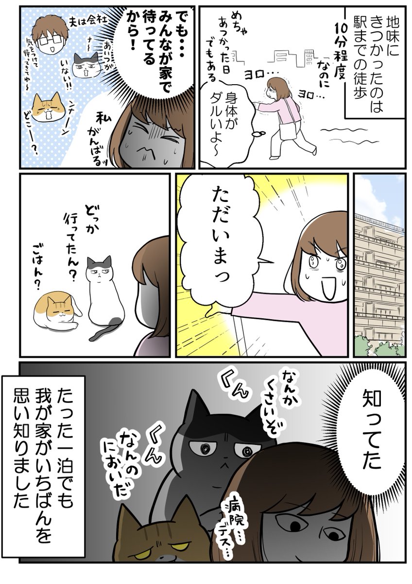 (4/4) 