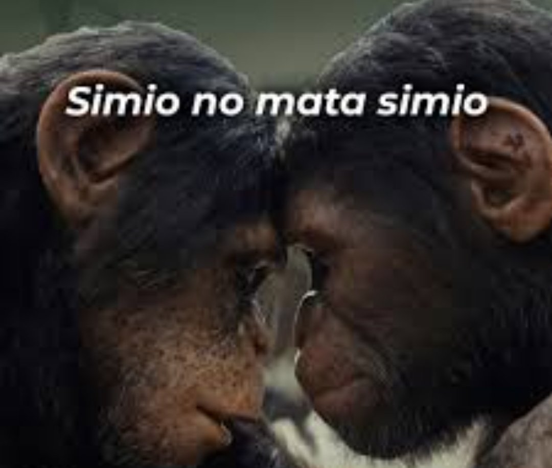 Guillermo_L_R's tweet photo. @MorumaX_ https://t.co/nun7Gr1E1M