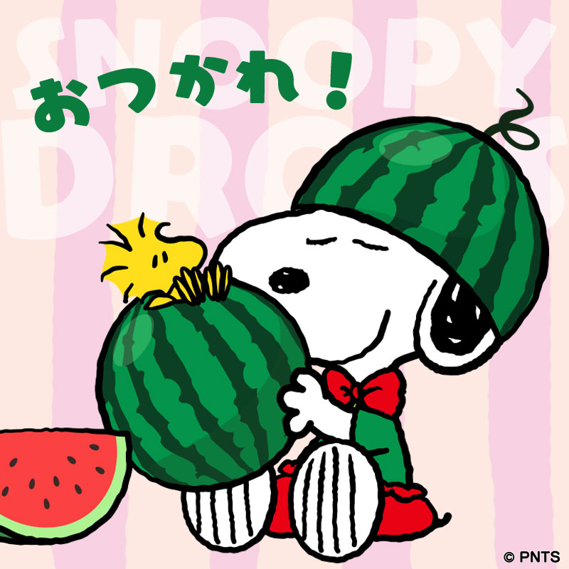 今日も一日お疲れさまです🍉 私のお気に入りなので、SNS登場回数が多い