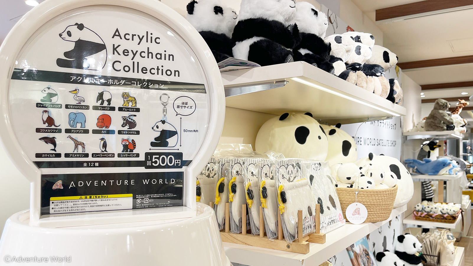 パンダ アドベンチャーワールド　ジャイアントパンダ「結浜」7歳の誕生日記念グッズ Amazon | アドベンチャーワールド 結浜 7歳 バースデー 記念