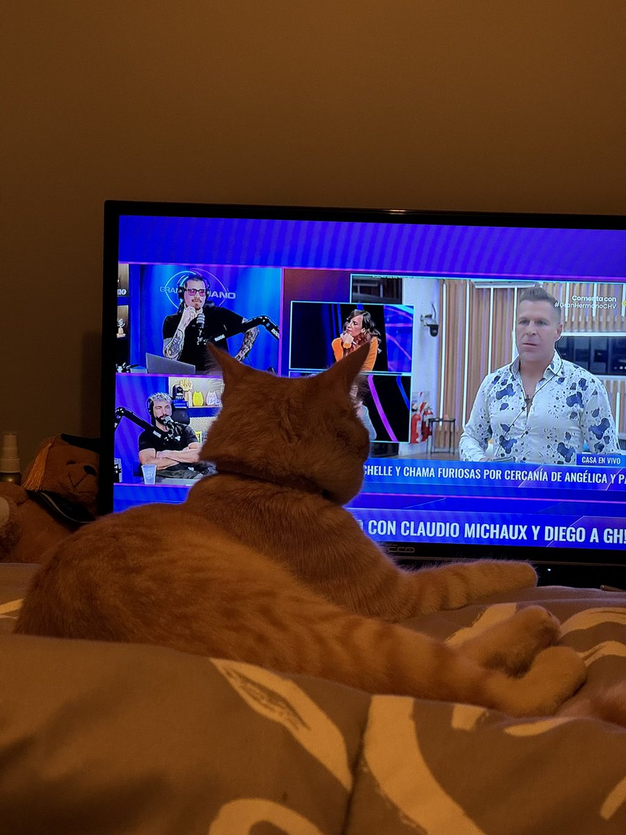cathqla's tweet photo. Bochito concentrado viendo gran hermano, te queremos diego primer participante con el q me pongo triste q se vaya de la casa.
#GranHermanoCHV #GranHermanoChile @ClaudioMichaux https://t.co/sr5L0tgZPo