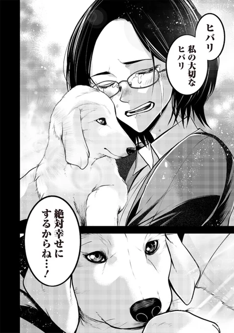 (6/6) 