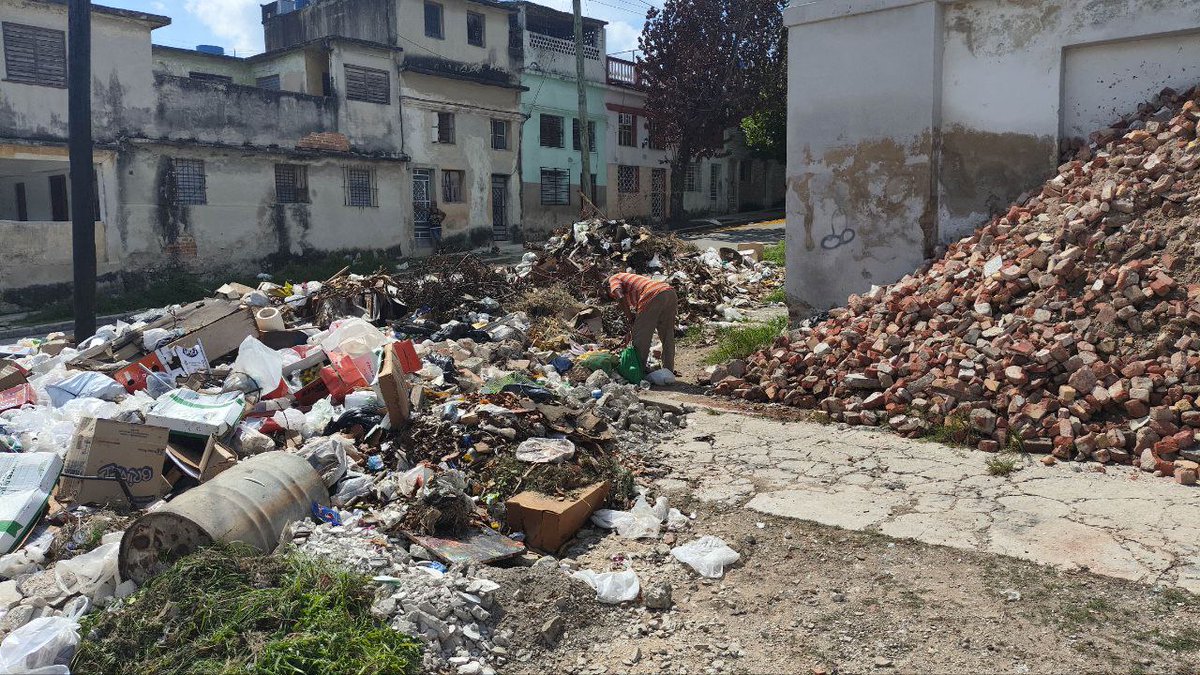 14ymedio's tweet photo. Los #caracoles_africanos y el #hedor de los #vertederos se extienden a los barrios acomodados de La Habana https://t.co/0t4CtXKjrE
👉🏼Los vecinos viven en una especie de “entumecimiento olfativo” https://t.co/r0ZPclsARz