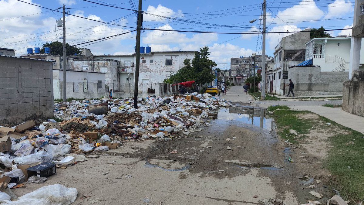 14ymedio's tweet photo. Los #caracoles_africanos y el #hedor de los #vertederos se extienden a los barrios acomodados de La Habana https://t.co/0t4CtXKjrE
👉🏼Los vecinos viven en una especie de “entumecimiento olfativo” https://t.co/r0ZPclsARz