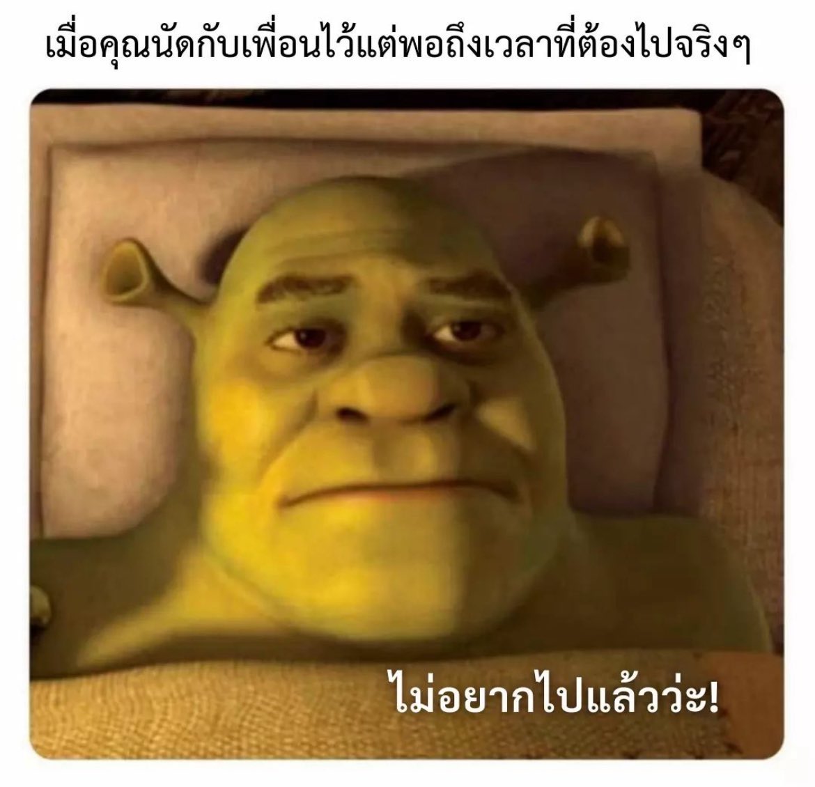 •บาร์จเฉยๆ• tweet media