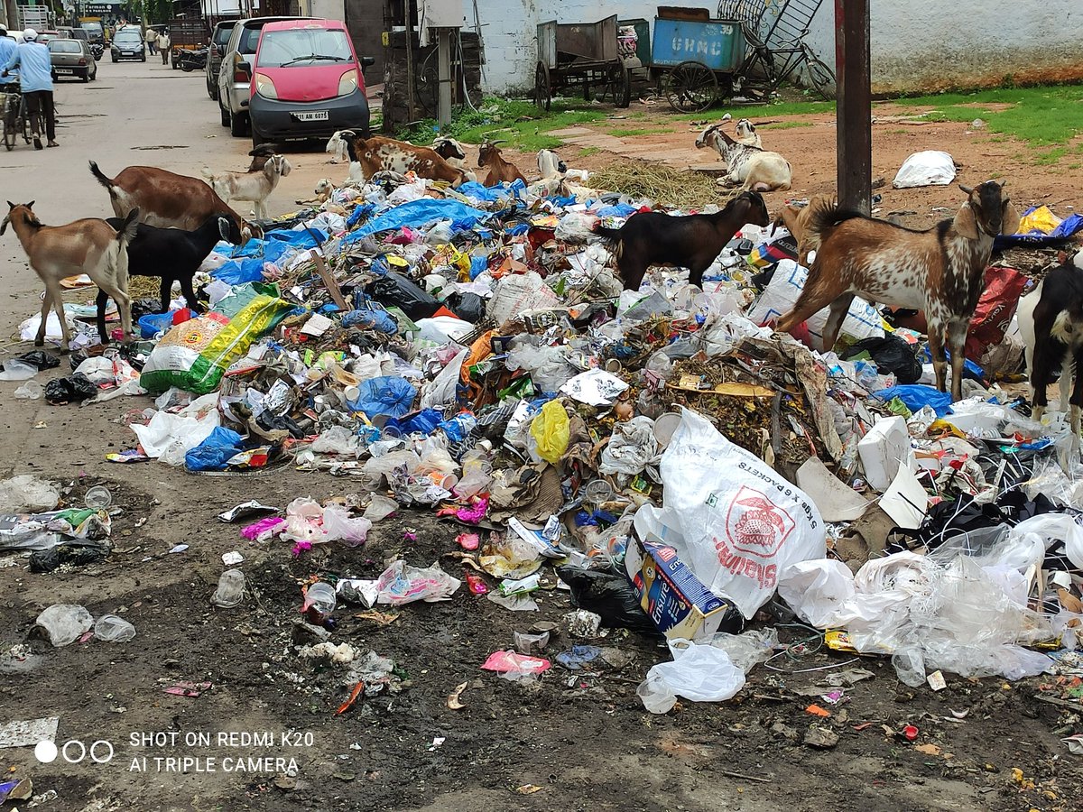 MirhasanaliRaz2's tweet photo. @GHMCOnline neglect by GHMC DEPARTMENT from three days garbage vehicle not arrived area Noor Khan bazar wake up ghmc do some work all ready so many health issues in area plz take immediate action wake up malakpet DC ghmc commissioner if health issues in area ghmc responsible https://t.co/PC7wZ0L4Db