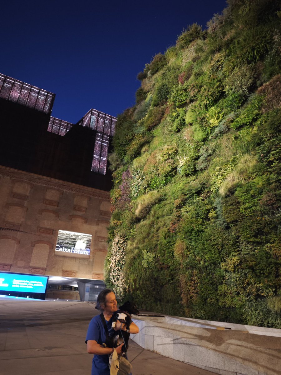 imgende's tweet image. Unas fotitos más para nuestro #HiloVeraniego. 😏🥰