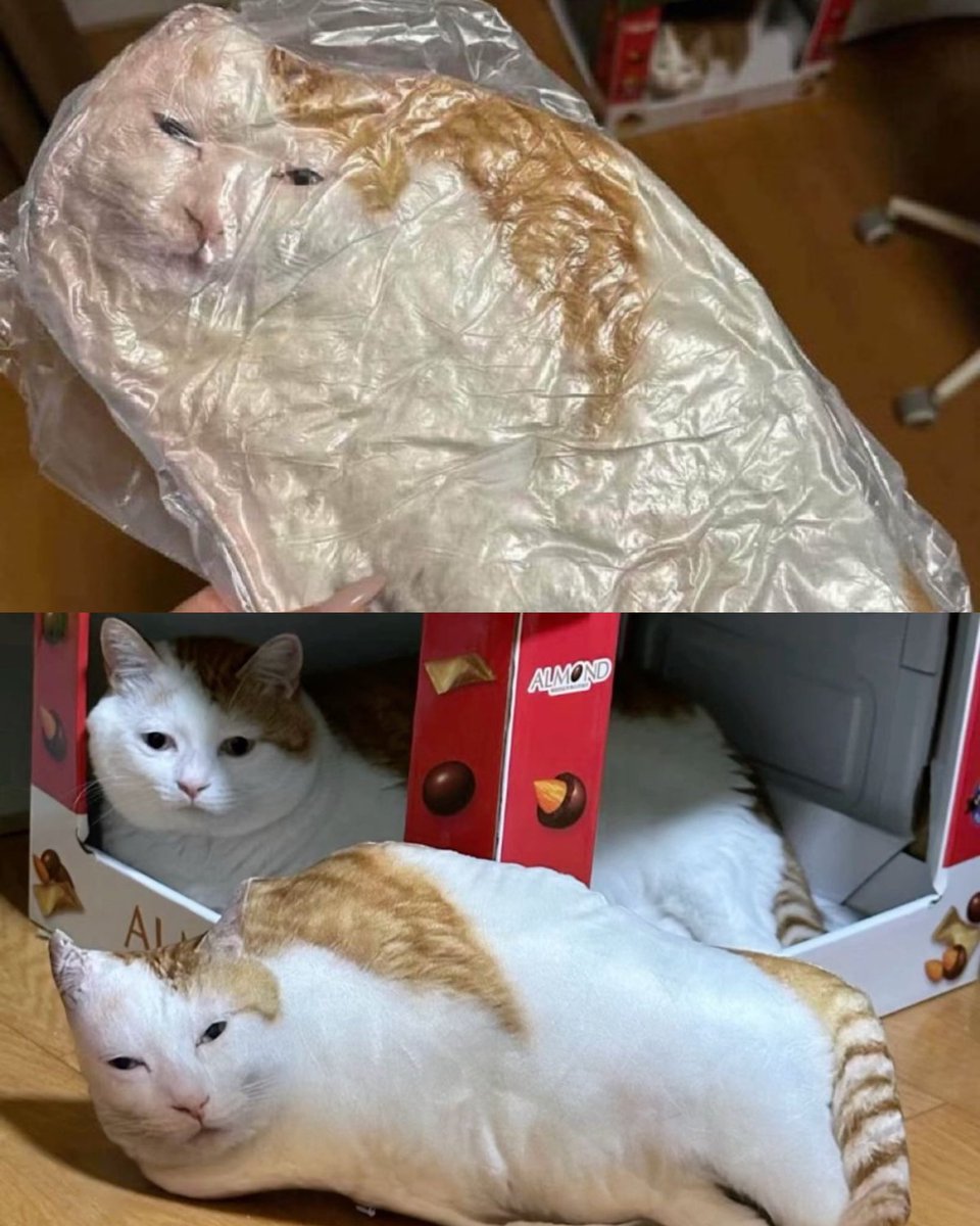 his evil brother has been unleashed