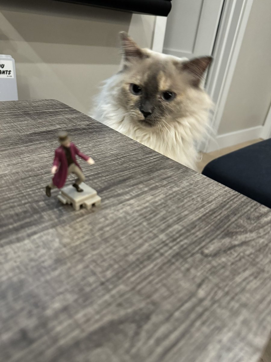 Antony Hall tweet media