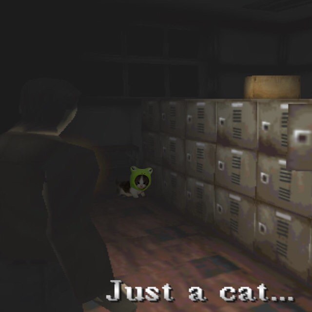 PunchingCat's tweet image. 