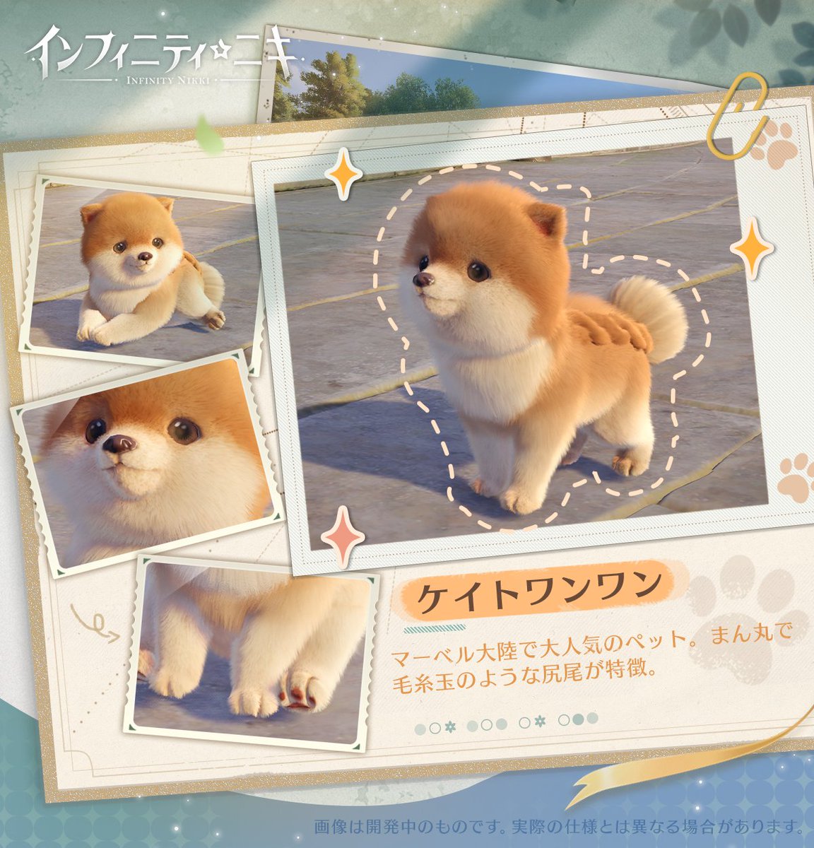マーベル大陸でかわいい動物たちと出会おう❣ 動物たちをお手入れして