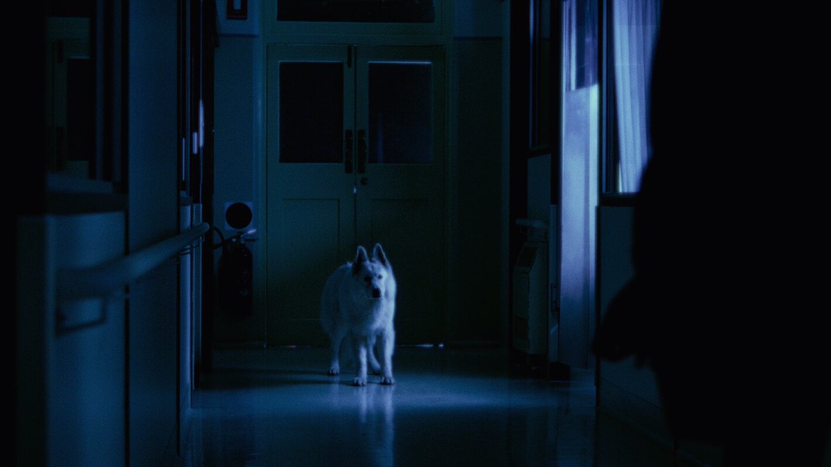 "The Dog" stars the amazing Kate Walsh as Claire - a vet at a 24hr clinic who is grappling with mental distress while trying to help others. Directed by Danielle Baynes, the film reminds us that those we look to for help are also in need of it.
#HSFF24