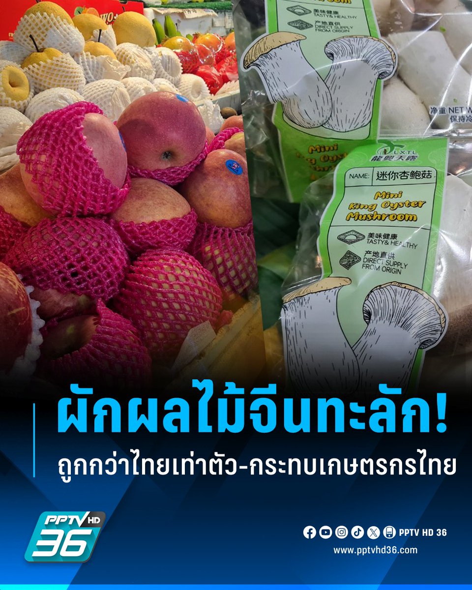 PPTVHD36's tweet photo. พบผัก-ผลไม้จีน ทะลักเต็มตลาดสดโคราช นำเข้าผ่านลาวผ่านรถไฟความเร็วสูง ราคาถูกกว่าไทยเท่าตัว  เกษตรกรได้รับผลกระทบเต็มๆ

อ่านต่อ : https://t.co/6SWneCzEYJ

#เรื่องข่าวเรื่องใหญ่ #PPTVHD36 #ผักจีน #ผลไม้จีน #ผักผลไม้จีน #สินค้าจีน #ตลาดสดโคราช https://t.co/1VDC4E5r2b