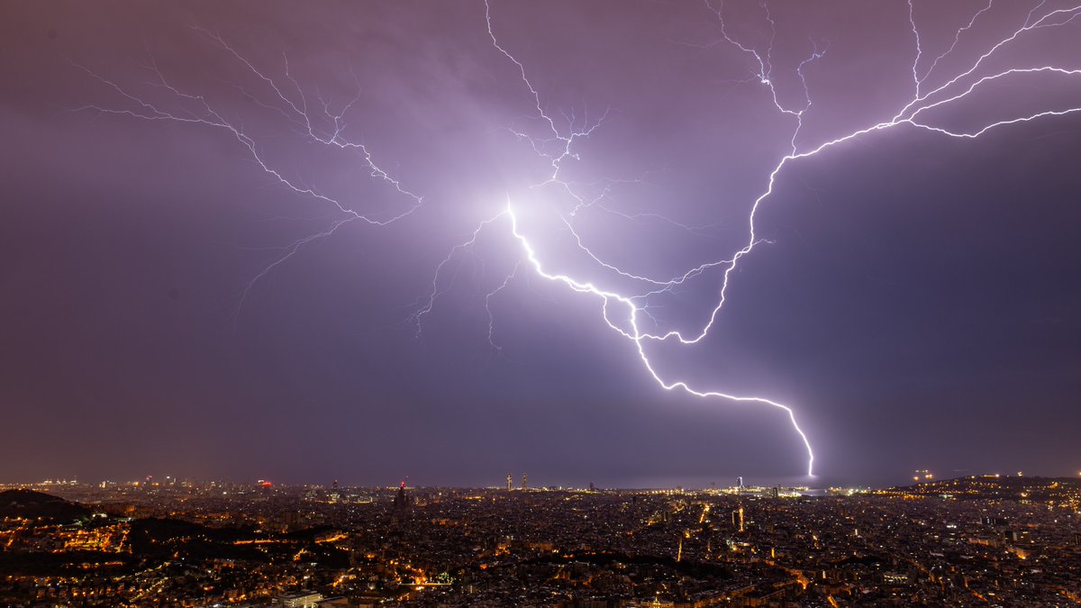 Alfons Puertas tweet media