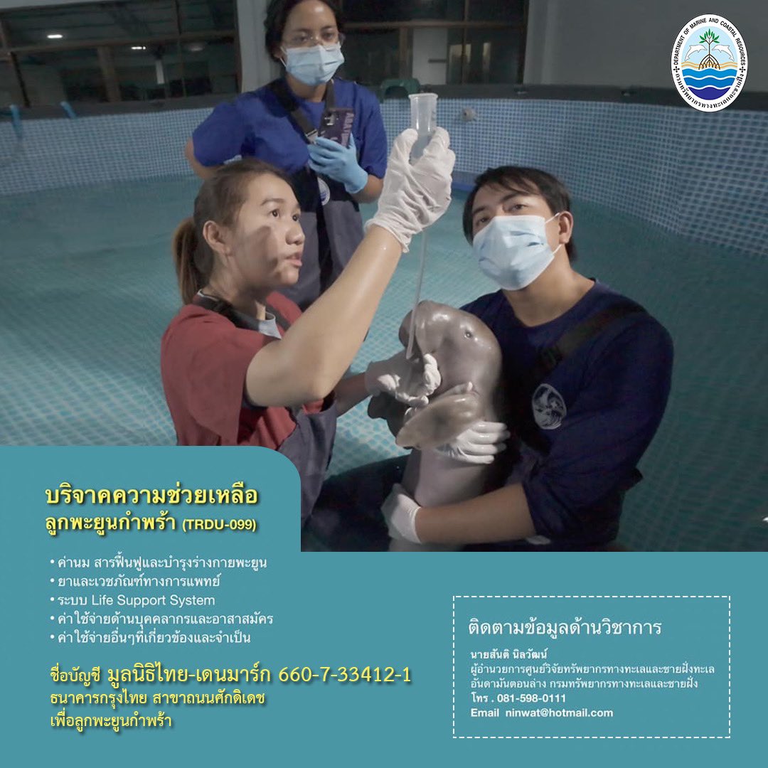 📮กรมทะเล ขอเชิญชวนมาร่วมเป็นส่วนหนึ่ง ในการช่วยเหลือ ดูแลอนุบาลให้พะยูนน้อยปลอดภัย และกลับคืนสู่ธรรมชาติต่อไป โดยการร่วมบริจาคเงินทุนที่ 
    📍บัญชีธนาคารกรุงไทย
ชื่อบัญชี มูลนิธิไทย-เดนมาร์ก
เลขที่ 660-7-33412-1
#พะยูน #สัตว์ทะเลหายาก #กรมทะเล