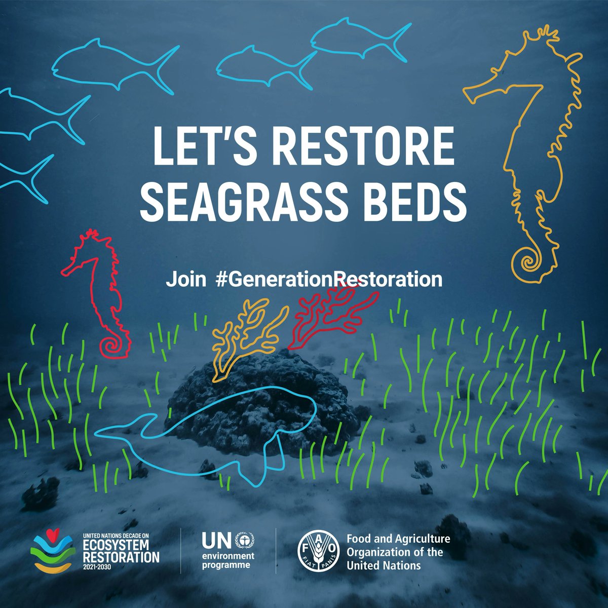 Seagrass prevents coastal erosion, stores carbon, and contributes to food security.

However, these vital ecosystems are in decline.

Join #GenerationRestoration &amp; take action for our precious ecosystems: bit.ly/3fNtmjj