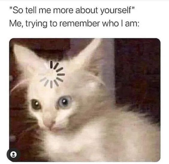 WholesomeMemes tweet media