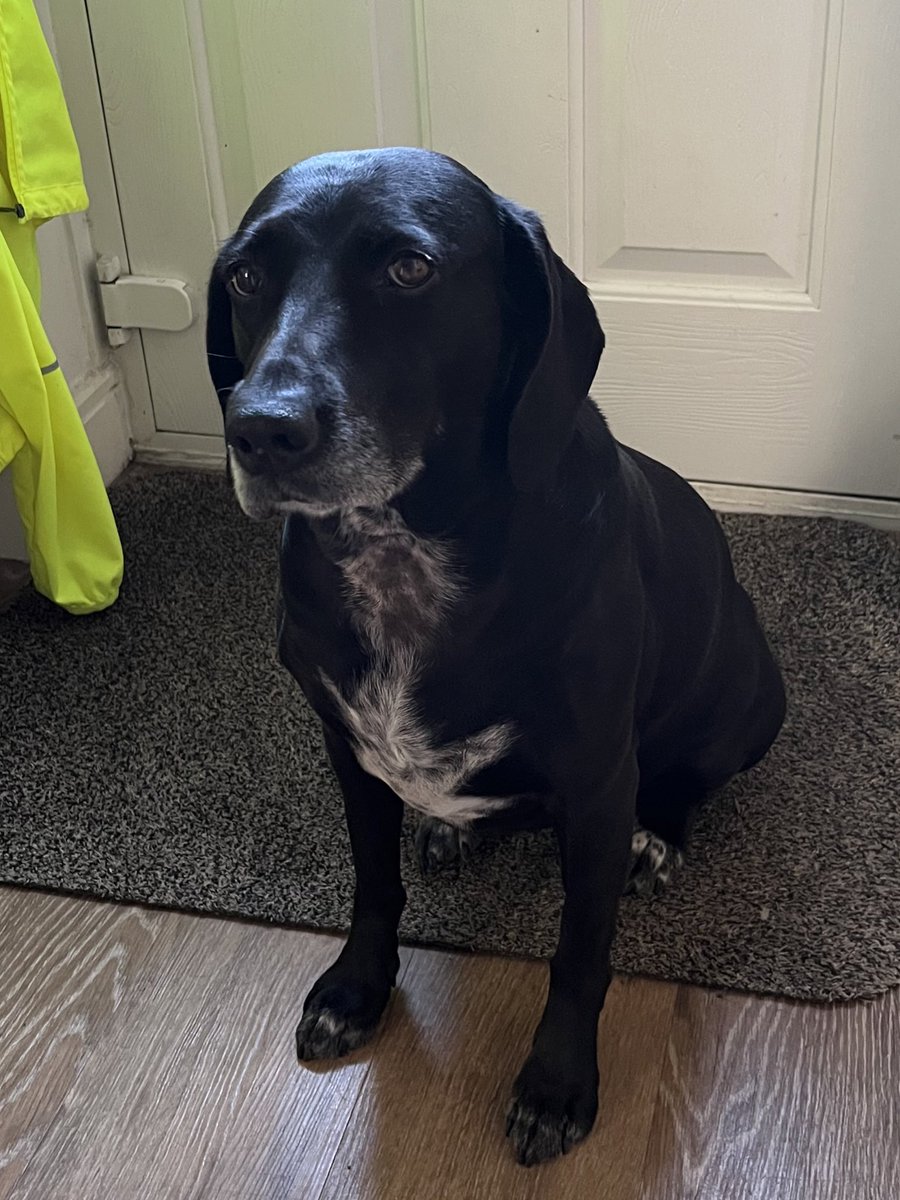 Rachel Kerwick tweet media