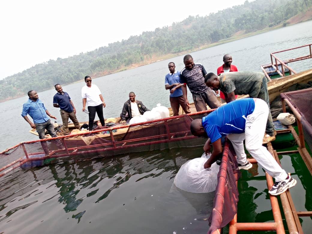 Sight and Life tweet media