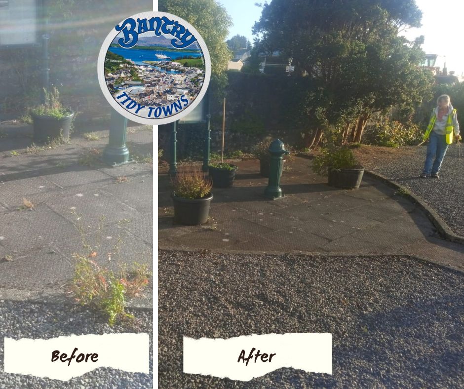BantryTidyTowns's tweet image. Great work last week near the hospital - with some lovely sunshine to help us along the way. It's always great to be #partofthesolution, rain or shine. Join us tonight, 7pm meeting at the slob car park. Looking forward!

#TuesdayTidy #BeBantryProud