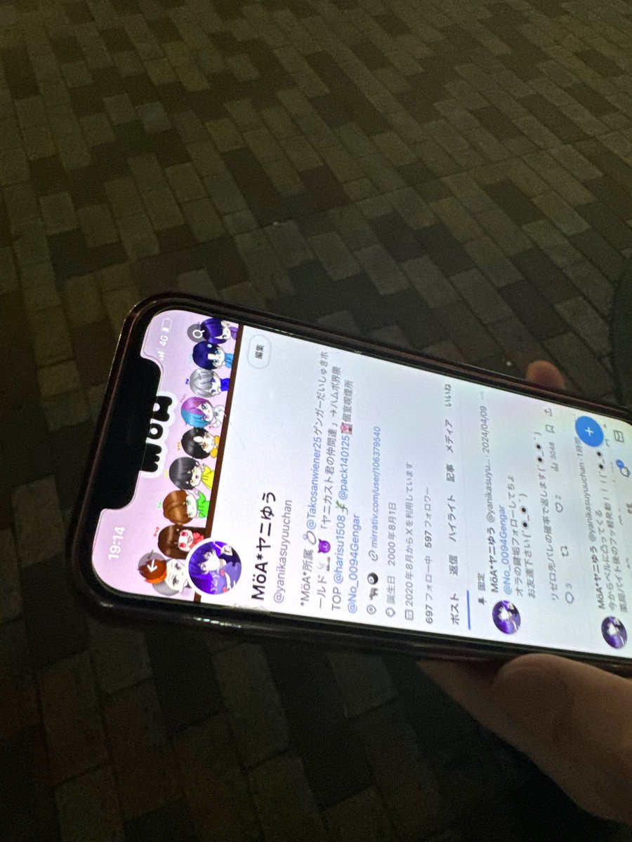 rflpx（べる） tweet media